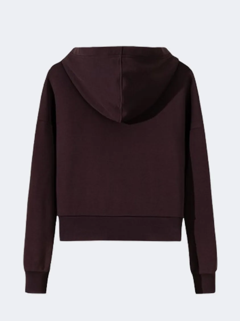 Anta Dance Women Lifestyle Hoody Brown