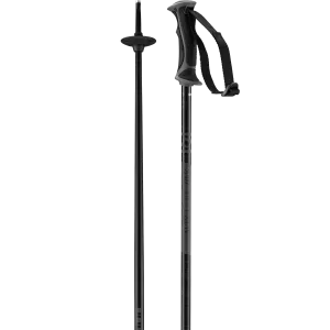 ARCTIC LADY SKI POLES