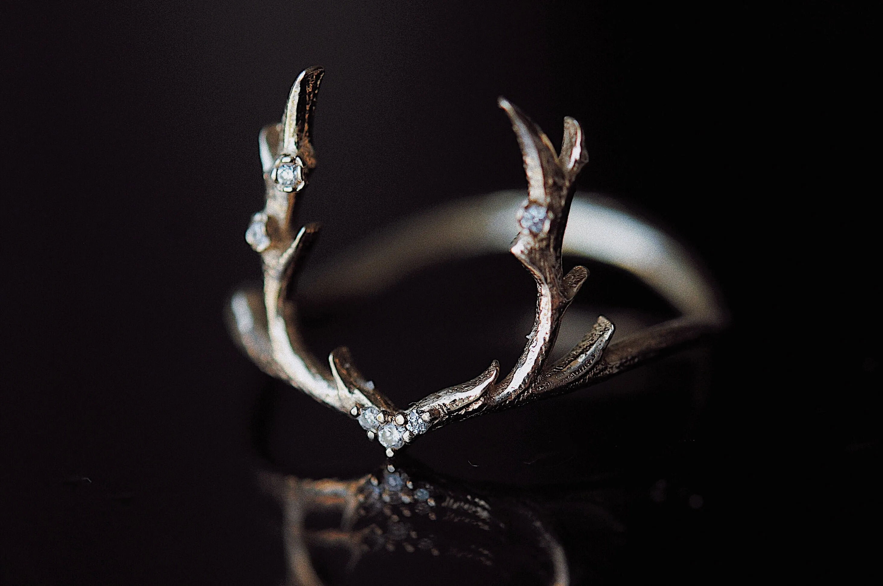 Guardian Ring - READY-TO-SHIP