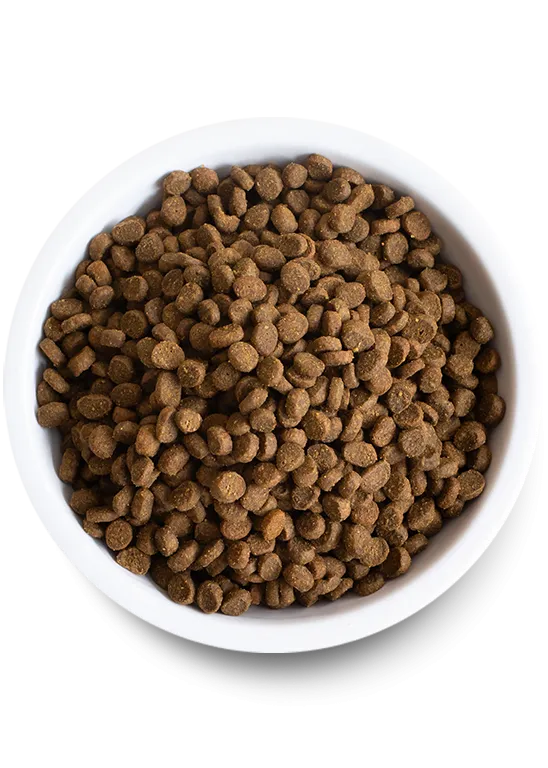 Open Farm Pasture-Raised Lamb Dry Cat Food